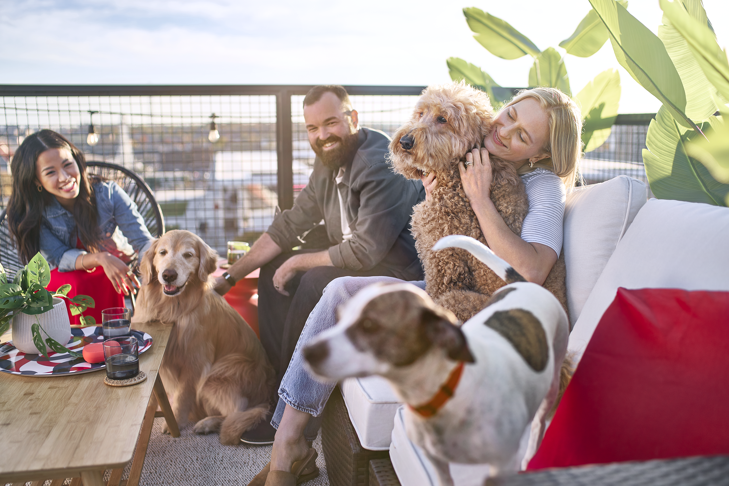 D04S24A_ROOFTOP_DOG_ACAM-25425_Final